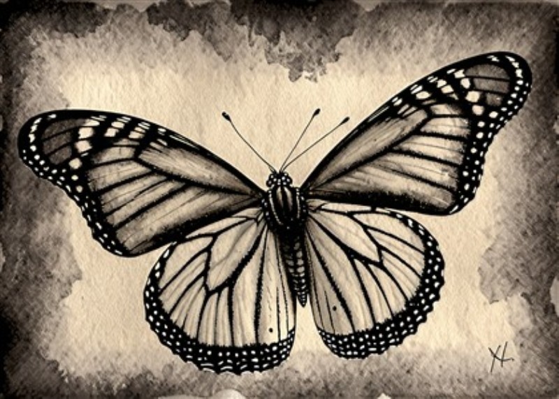 Elegante Sommerfugl i Sort-Hvid Kunst - Oplev skønheden i vores detaljerede sort-hvide sommerfugleillustration, der kombinerer kunstneriske elementer med naturens elegance. Perfekt til at skabe en unik atmosfære i dit hjem.
