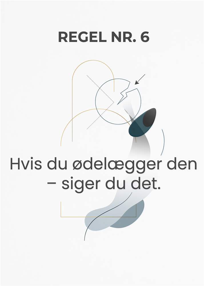 Regel Nr. 6: Æstetik med Budskab plakat