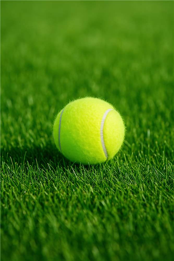 Energi og Leg med Tennisbold plakat
