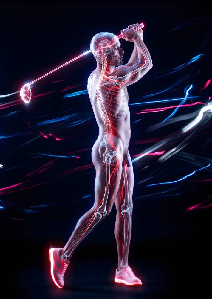 Golfens Krop: Anatomisk Kunstværk plakat