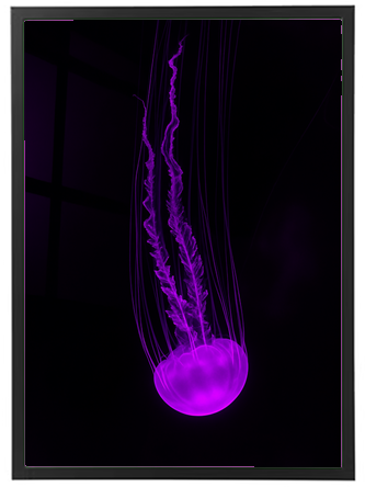 En meduse svømmer elegant i mørket, oplyst af et blødt lilla lys.