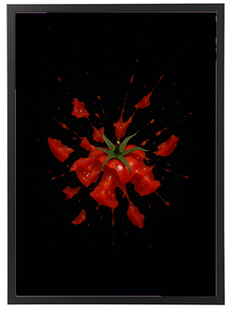 Et billede af en tomat, der sprøjter saft og stykker ud i en dramatisk eksplosion mod en sort baggrund.