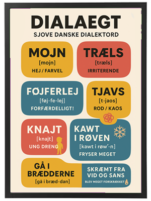 Billedet viser en liste over sjove danske dialektord med forklaringer.