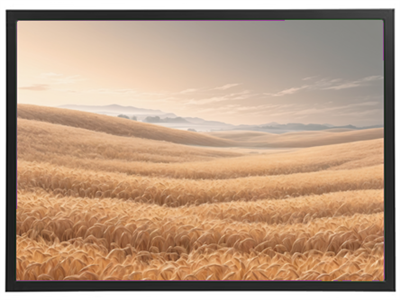 Et malerisk landskab med bølgende gyldne kornmarker under en blød solopgang.