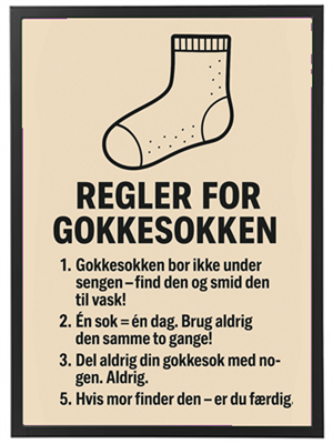 En illustration med regler for en sok, der beskriver sjove retningslinjer for brug og opbevaring.