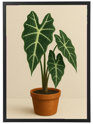 Et billede af en smuk indendørs plante med store, grønne blade i en lerpotte.