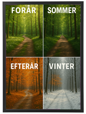 Et billede der viser fire forskellige skovlandskaber, der repræsenterer forår, sommer, efterår og vinter.