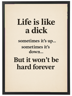 Et humoristisk citat om livets op- og nedture med en legesyg sammenligning.