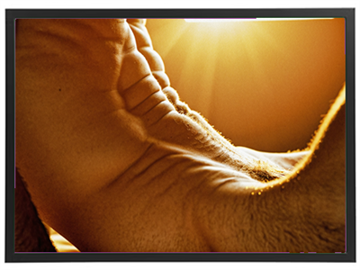 Et nærbillede af en muskuløs overkrop oplyst af sollys, der skaber et varmt og dramatisk udtryk.