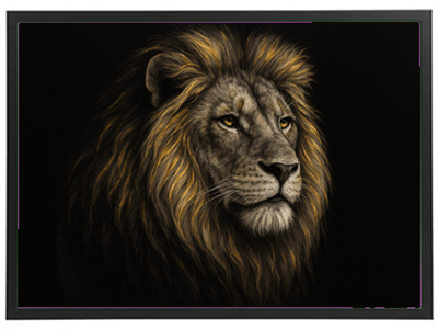 Et nærbillede af en løve med en imponerende manke, sat mod en sort baggrund.