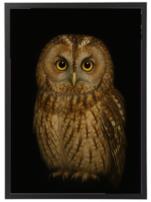 Et detaljeret billede af en ugle med store, gule øjne og en smuk, fjerklædning.