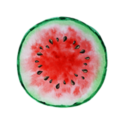 En skive vandmelon med lyserød frugtkød og sorte kerner, omgivet af grøn skræl.