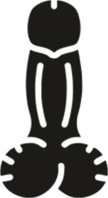 En stiliseret illustration af en mandlig anatomisk struktur.