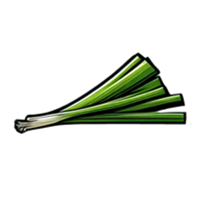 Et bundt friske forårsløg med lange, grønne stængler og hvide rødder.