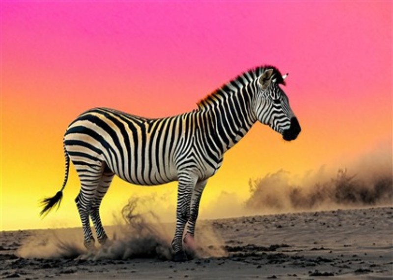 Zebra i Solens Glød - Oplev den majestætiske zebra, der står som et symbol på naturens skønhed, indhyllet i det bløde lys fra en betagende solnedgang. Dette kunstværk tilføjer en unik atmosfære og farve til dit hjem.