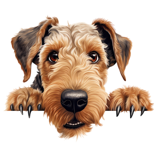 Airedale Terrier sticker motiv