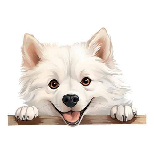 American Eskimo sticker motiv