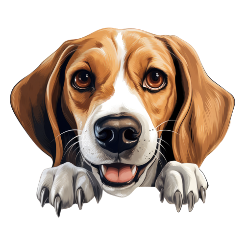 American Foxhound sticker motiv