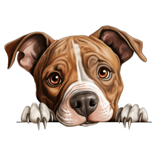 American Staffordshire Terrier sticker motiv