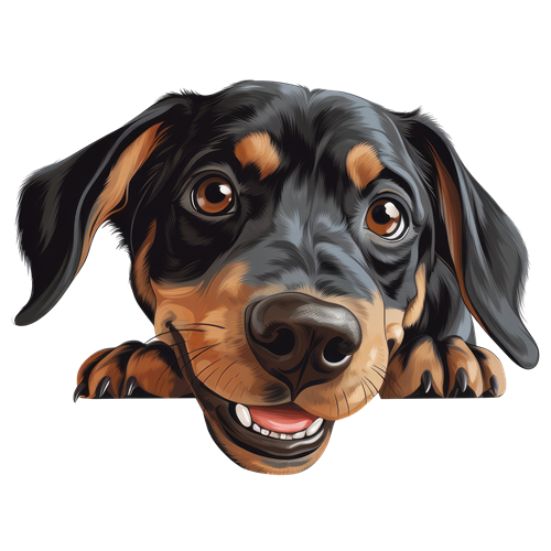 Austrian Black And Tan Hound sticker motiv