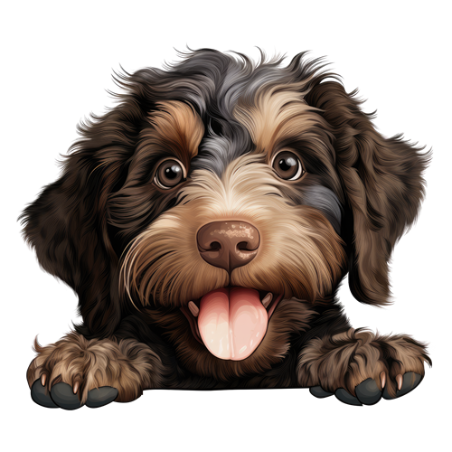 Barbet sticker motiv