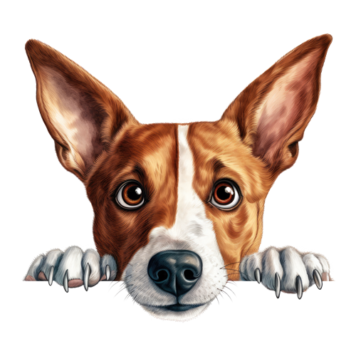 Basenji sticker motiv