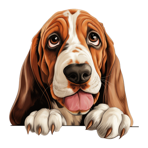 Basset Hound sticker motiv