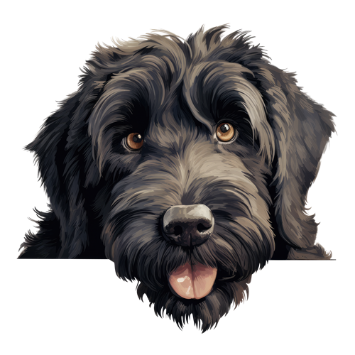 Black Russian Terrier sticker motiv