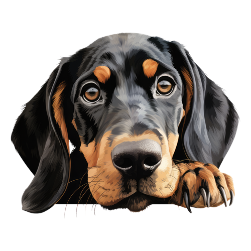 Black And Tan Coonhound sticker motiv