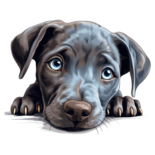 Blue Lacy sticker motiv