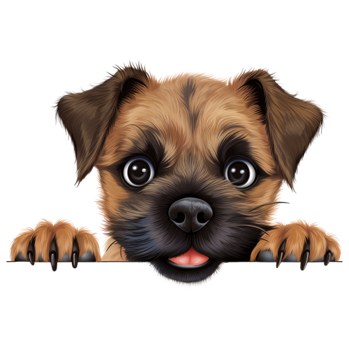 Border Terrier sticker motiv