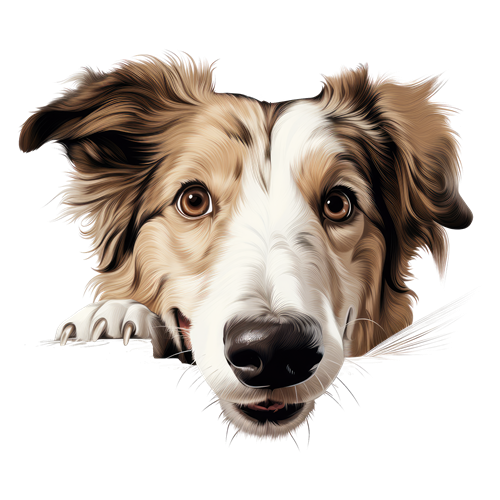 Borzoi sticker motiv