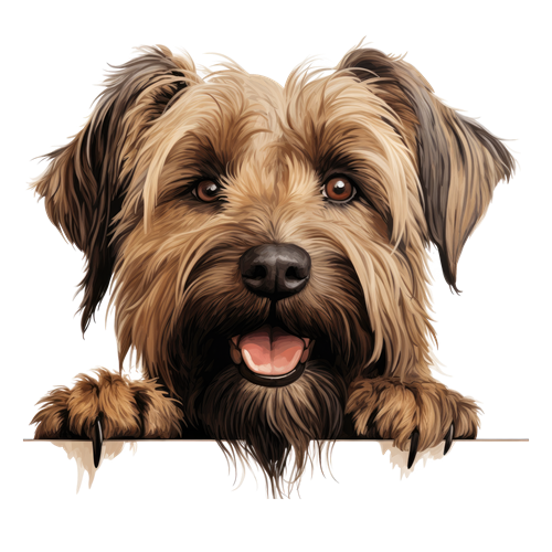Briard sticker motiv