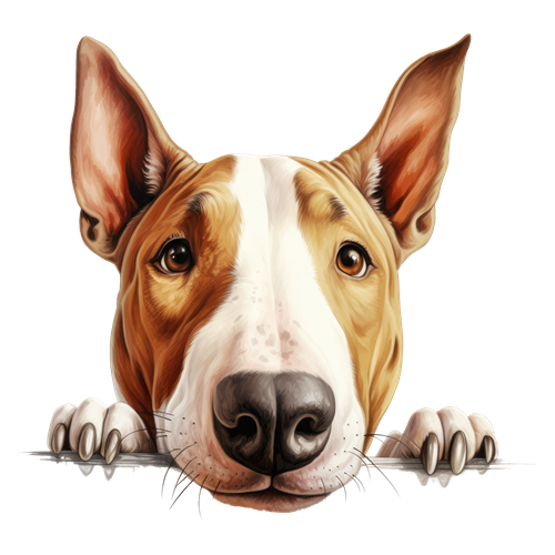 Bull Terrier sticker motiv