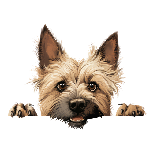 Cairn Terrier sticker motiv