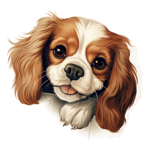 Cavalier King Charles Spaniel sticker motiv