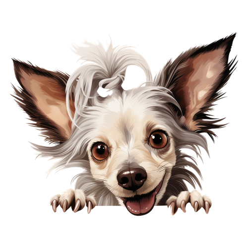 Chinese Crested sticker motiv