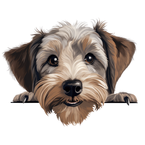 Dandie Dinmont Terrier sticker motiv