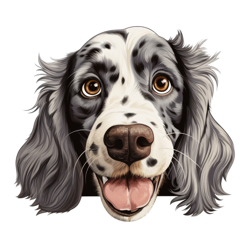 English Setter sticker motiv