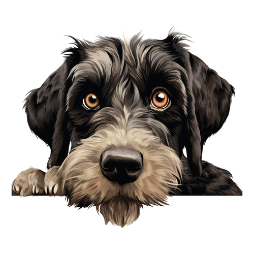 Giant Schnauzer sticker motiv