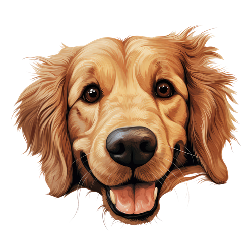 Golden Retriever sticker motiv