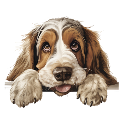 Grand Basset Griffon Vendeen sticker motiv