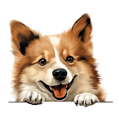 Icelandic Sheepdog sticker motiv