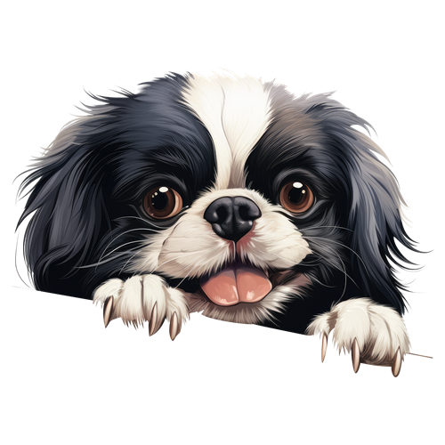 Japanese Chin sticker motiv