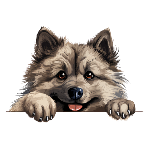 Keeshond sticker motiv