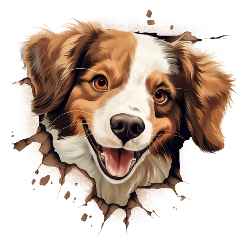 Kooikerhondje sticker motiv