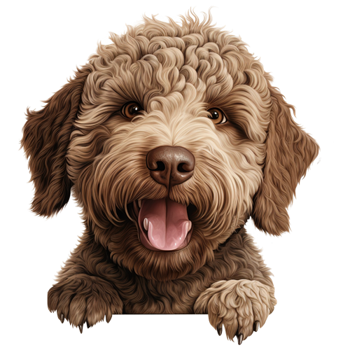 Lagotto Romagnolo sticker motiv