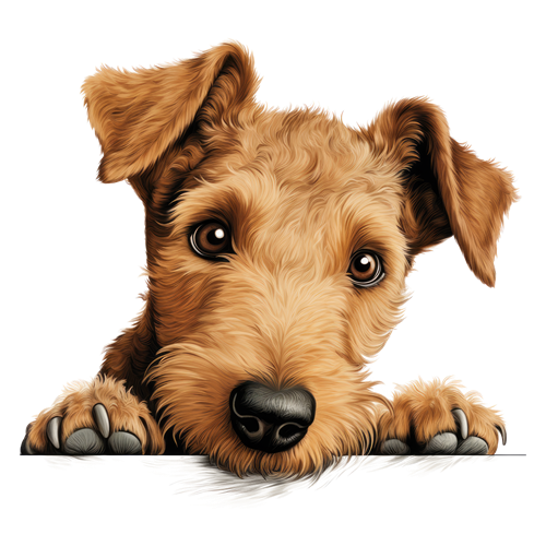 Lakeland Terrier sticker motiv