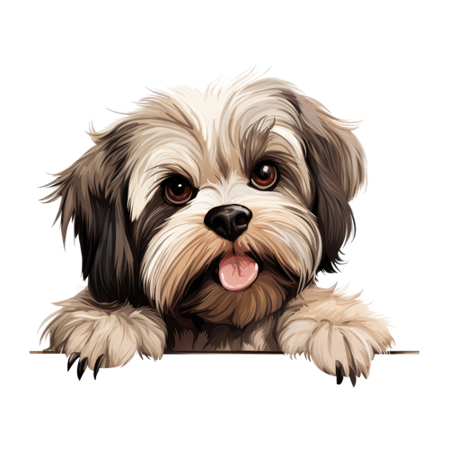Lhasa Apso sticker motiv
