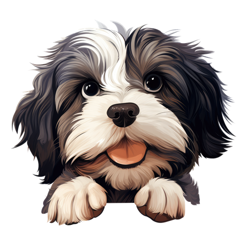 Lowchen sticker motiv